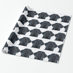 Black Labrador Facing Wrapping Paper