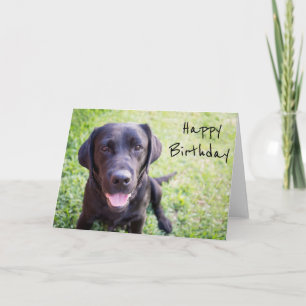 Black Labrador Happy Birthday Card