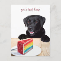 Black Labrador - Happy Birthday - Thank You - Dog