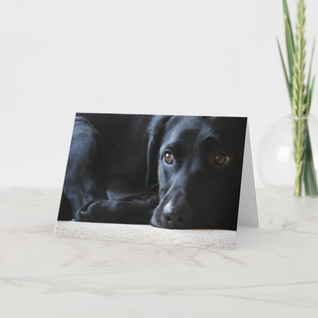 Black Labrador Holiday Card (Front)
