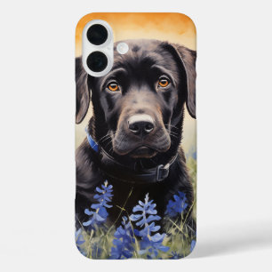 Black Labrador in Bluebonnets iPhone 16 Plus Case