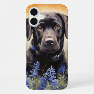 Black Labrador in Bluebonnets iPhone 16 Plus Case