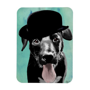 Black Labrador in Bowler Hat Magnet