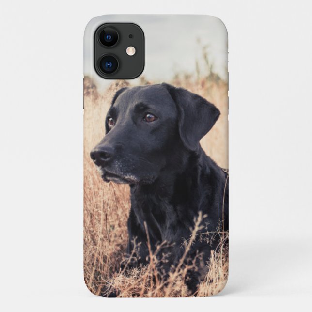 Black Labrador In Dry Grass Case-Mate iPhone Case (Back)