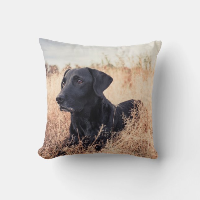 Black Labrador In Dry Grass Cushion (Front)