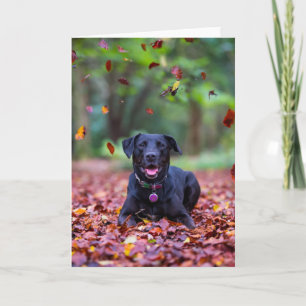 Black Labrador In Fall Leaves Card