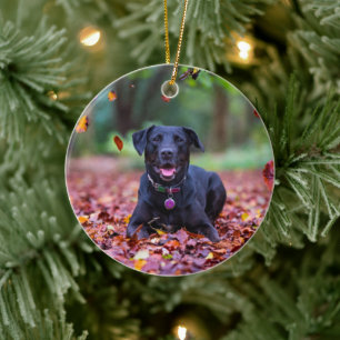 Black Labrador In Fall Leaves Ceramic Ornament