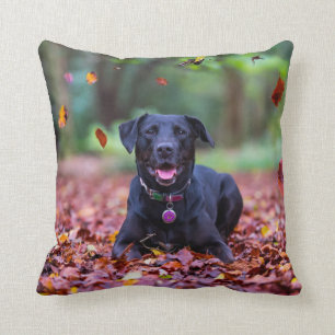 Black Labrador In Fall Leaves Cushion