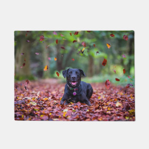 Black Labrador In Fall Leaves Doormat