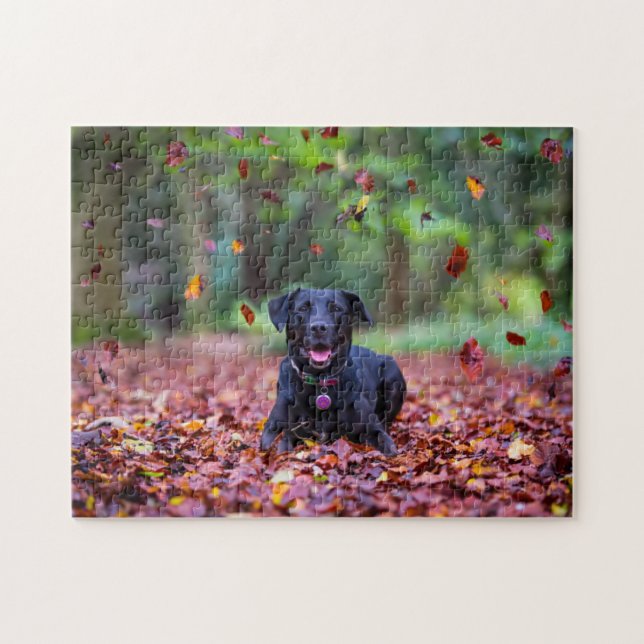 Black Labrador In Fall Leaves Jigsaw Puzzle (Horizontal)
