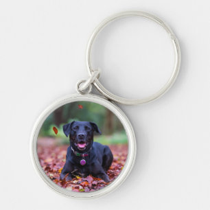 Black Labrador In Fall Leaves Key Ring
