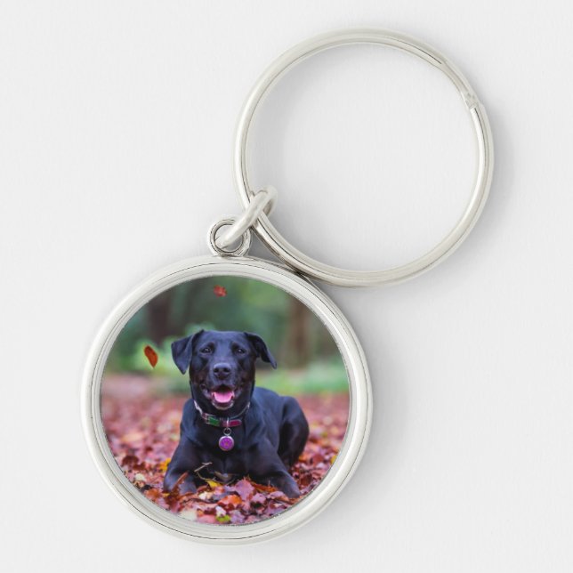 Black Labrador In Fall Leaves Key Ring (Front)