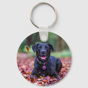 Black Labrador In Fall Leaves Key Ring