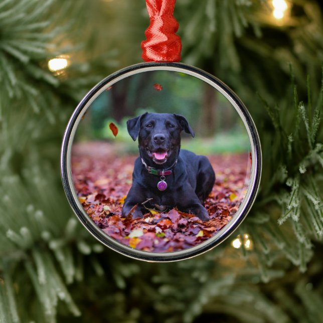 Black Labrador In Fall Leaves Metal Ornament (Tree)