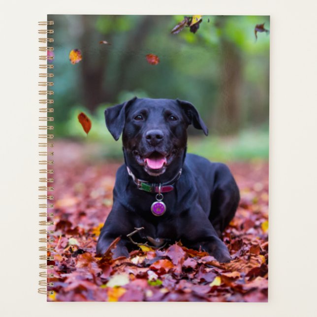 Black Labrador In Fall Leaves Planner (Front)