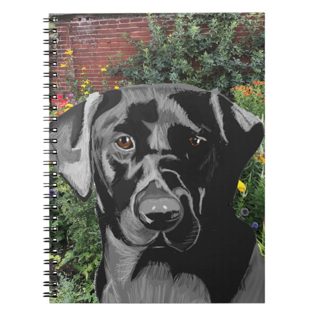 Black Labrador in Garden Notebook (Front)