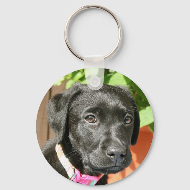 Black Labrador Key Chain (Front)