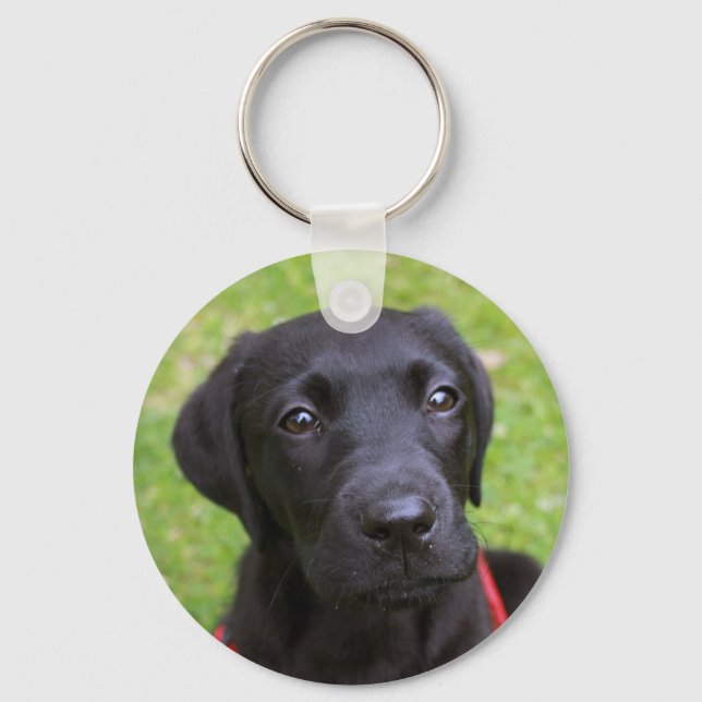 Black Labrador Key Ring (Front)