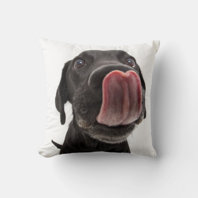 Black Labrador Licking Its Nose Cushion (Front)