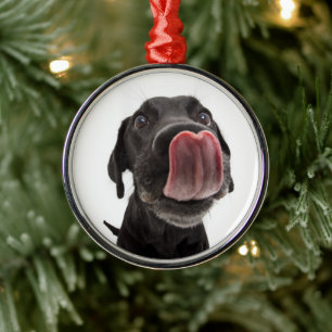 Black Labrador Licking Its Nose Metal Ornament
