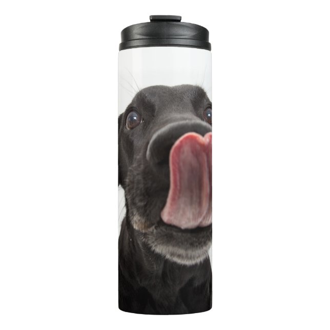 Black Labrador Licking Its Nose Thermal Tumbler (Front)