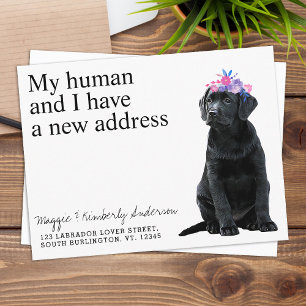 Black Labrador New Address Dog Moving Announcement Postcard