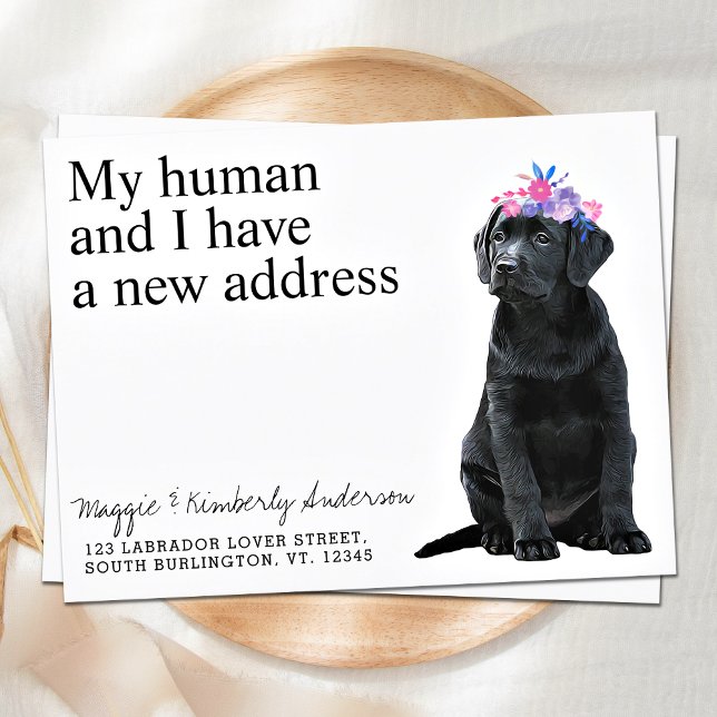 Black Labrador New Address Dog Moving Announcement Postcard (Creator Uploaded)