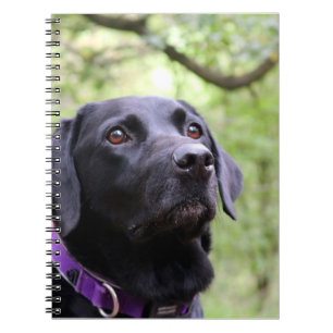 Black Labrador Notebook