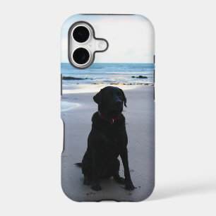 Black Labrador on a beach