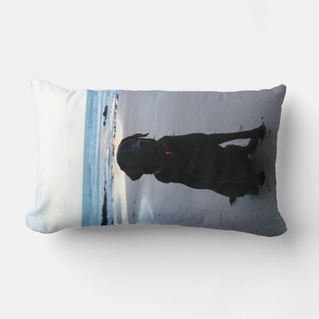 Black Labrador on a beach Lumbar Cushion (Front)