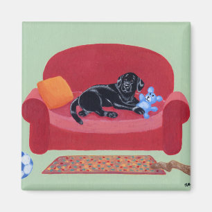 Black Labrador on the pink couch Magnet