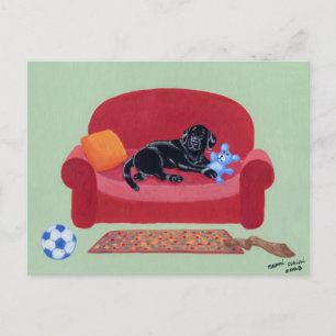 Black Labrador on the pink couch Postcard