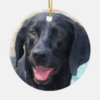 Black Labrador ornament