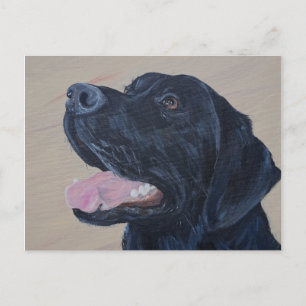 Black Labrador Painting Postcard