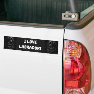 Black Labrador, parent and child, Hug of love Bumper Sticker