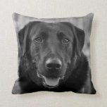 Black Labrador Photo Pet Dog  Cushion<br><div class="desc">Black Labrador Photo Pet Dog Throw Pillow</div>