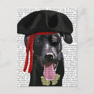 Black Labrador Pirate Postcard