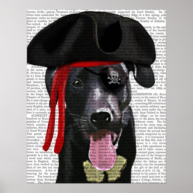 Black Labrador Pirate Poster (Front)