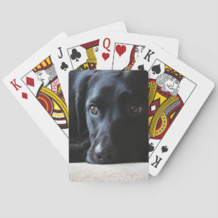 Black Labrador Playing Cards