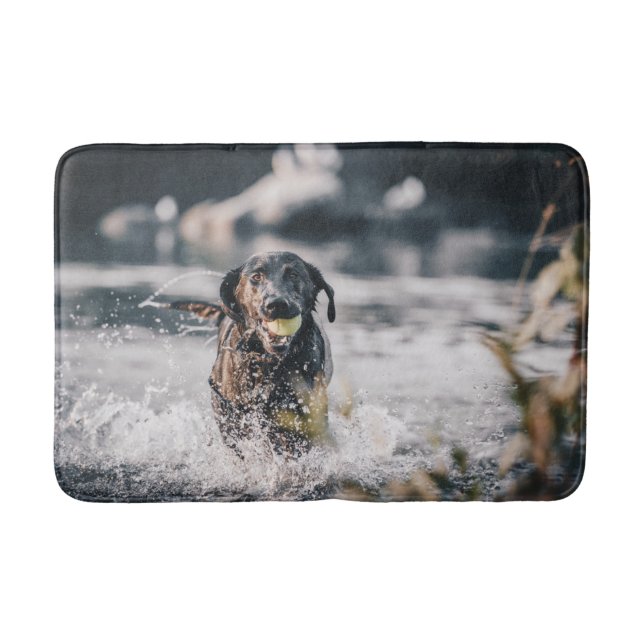 Black Labrador Plays Fetch In Water Bath Mat (Front)
