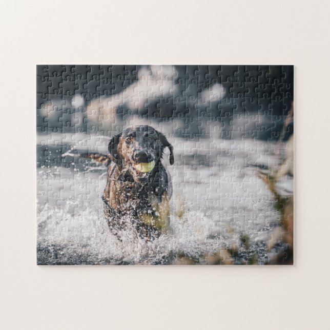 Black Labrador Plays Fetch In Water Jigsaw Puzzle (Horizontal)