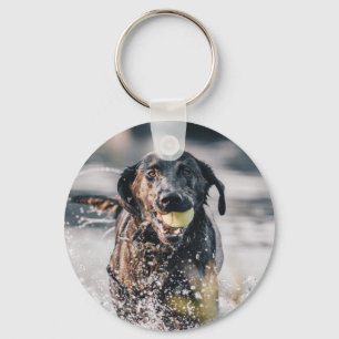 Black Labrador Plays Fetch In Water Key Ring