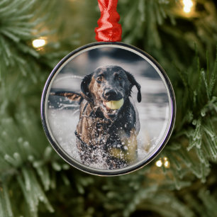 Black Labrador Plays Fetch In Water Metal Ornament