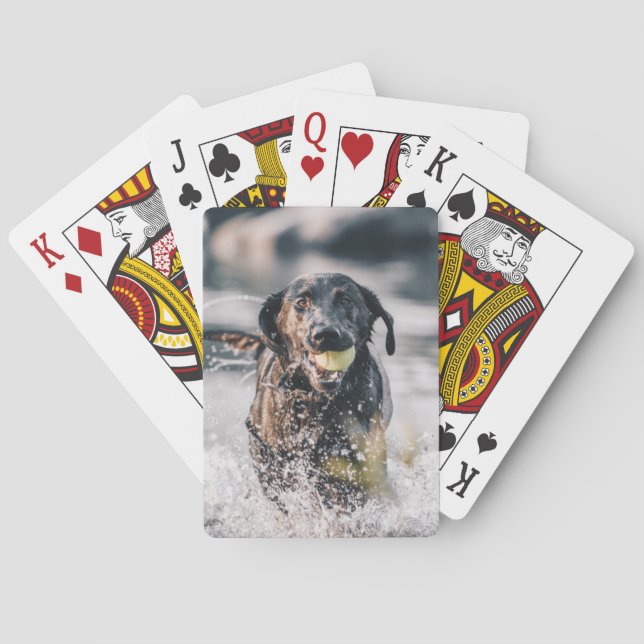 Black Labrador Plays Fetch In Water Playing Cards (Back)