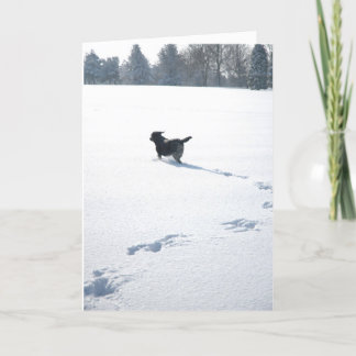Black Labrador plays in the snow Holiday Card