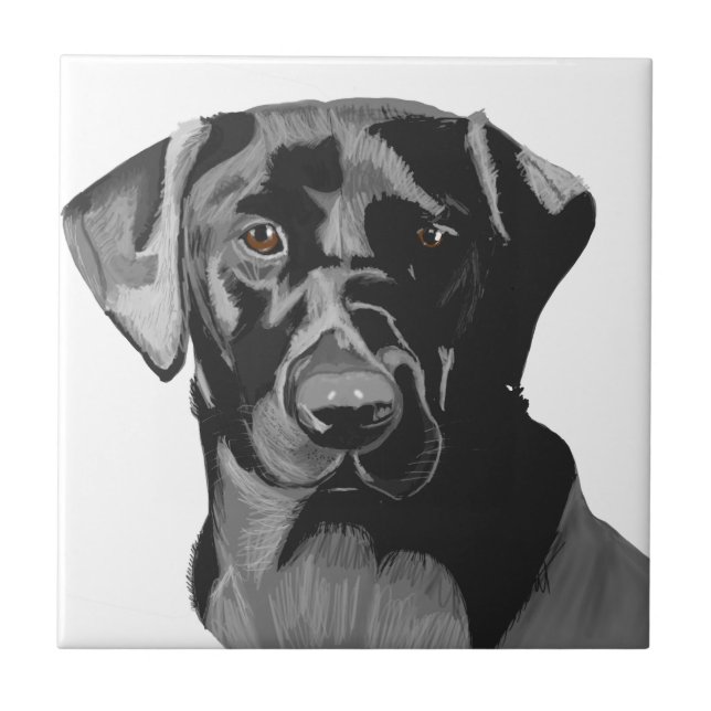 Black Labrador Portrait  Ceramic Tile (Front)