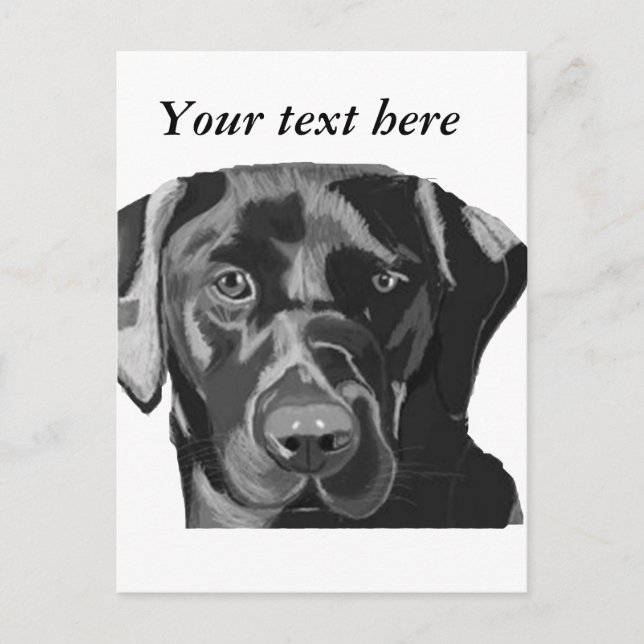 Black Labrador Postcard (Front)