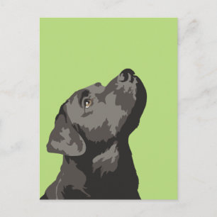 Black Labrador Postcard (Choose Your Own Colour)