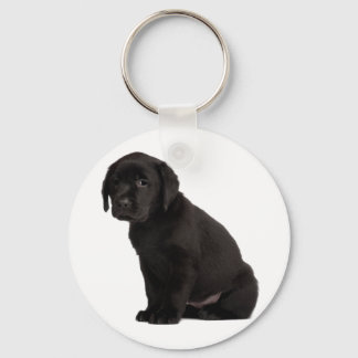 Black Labrador Puppy Key Ring