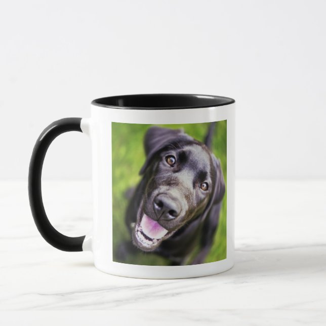 Black labrador puppy looking upwards, close-up mug (Left)
